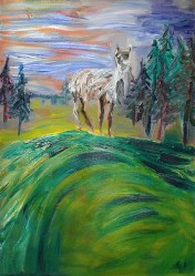 Laama lapissa/Lama i lappland